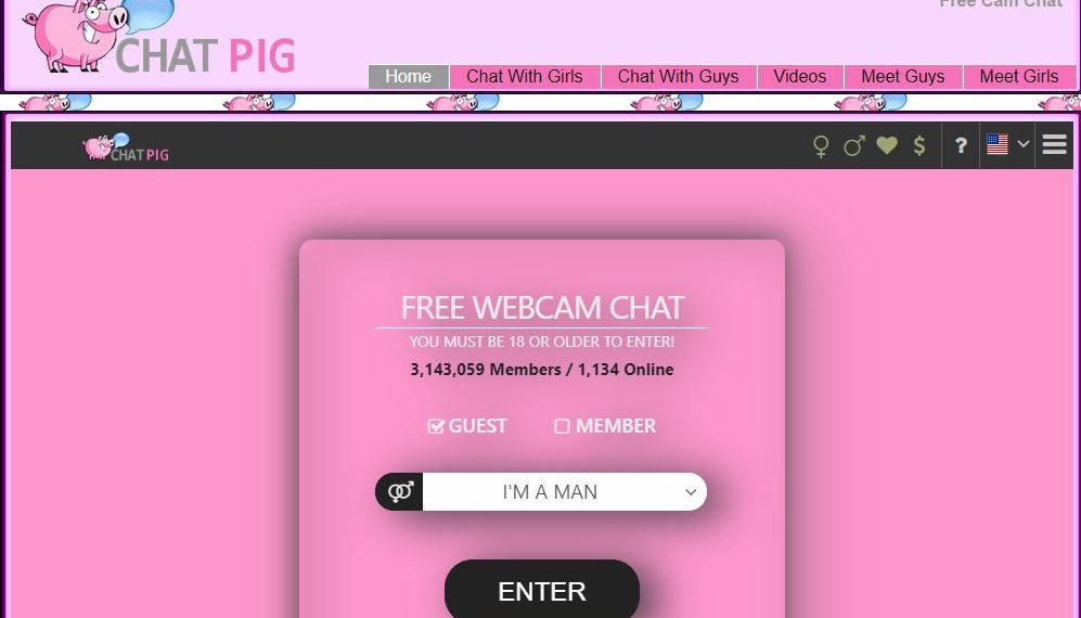 Top 10 Best ChatPig Alternatives for Chatting with Strangers