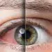 Reasons You May Have Red and Bloodshot Eyes