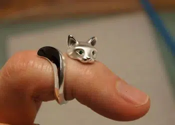 Animal Rings