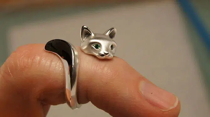 Animal Rings