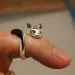 Animal Rings