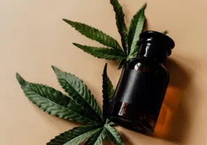 cbd 
