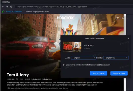 Choose the Video to Download