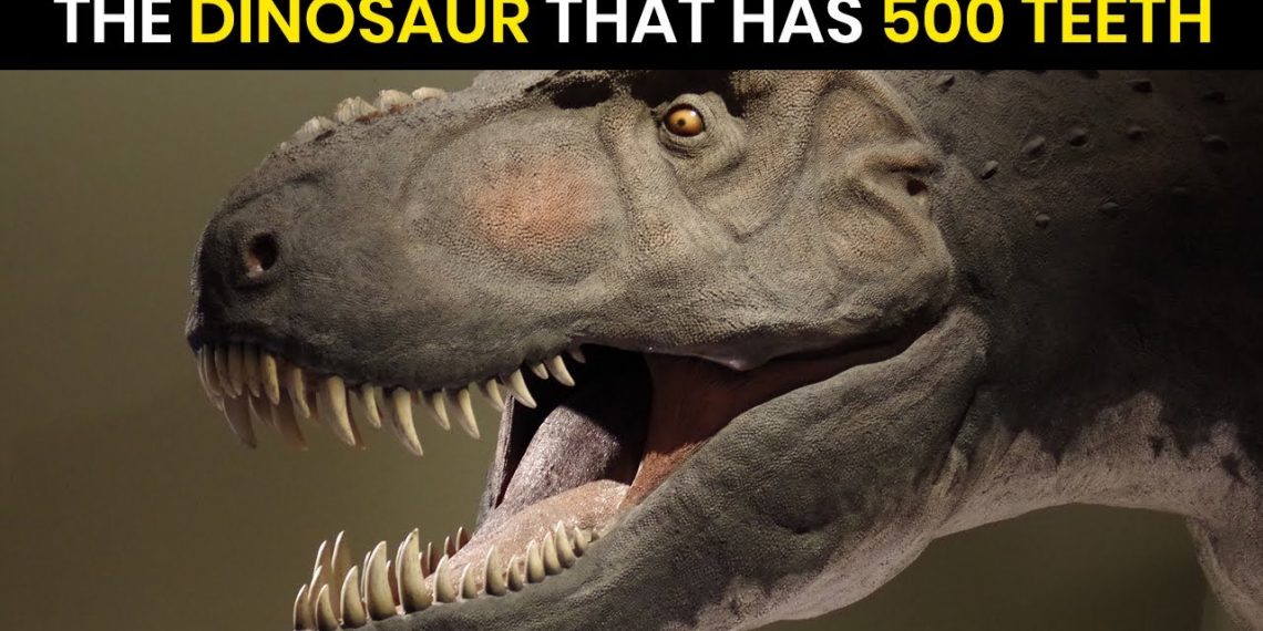 what Dinosaur has 500 teeth