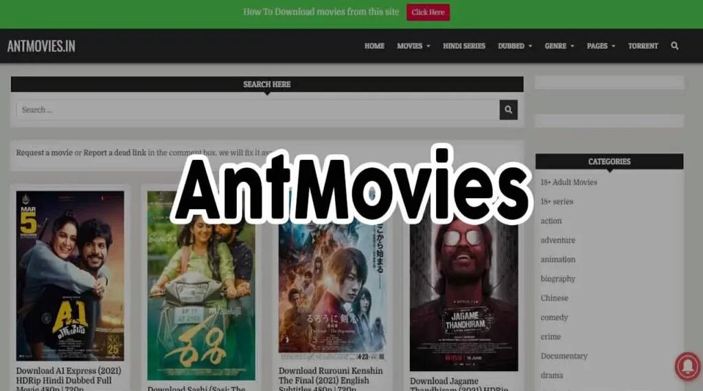 Antmovies