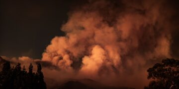 Los Angeles Latest Wildfire Outbreak