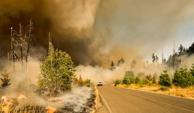 What LA Can Learn from Recent Wildfires