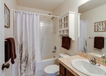 Bathroom Paint Colors