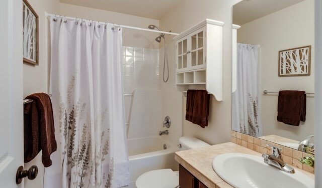 Bathroom Paint Colors