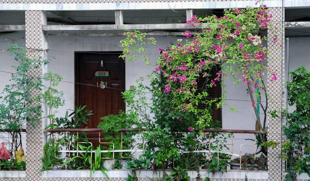 Rooftop & Balcony Garden Ideas