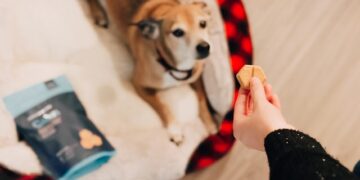 DIY Dog Treat Recipes